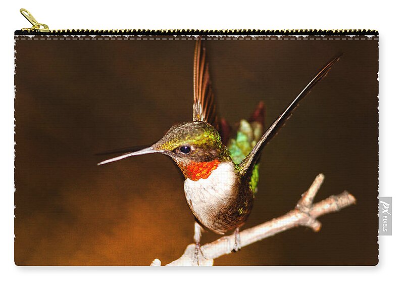 Hummer Zip Pouch featuring the photograph Just Showing Off by Randall Branham