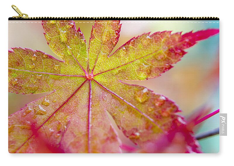 Autumn Leaves Zip Pouch featuring the photograph Kaleidoscope by Caitlyn Grasso