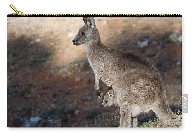 Australia Carry-all Pouch featuring the photograph Kangaroo and joey by Steven Ralser