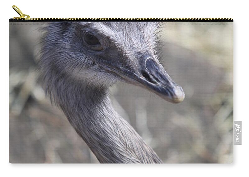 Bird Zip Pouch featuring the photograph Keep In View - Emu Portrait by Christiane Schulze Art And Photography