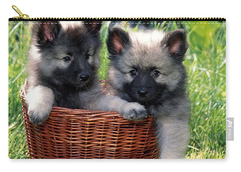 Animal Zip Pouch featuring the photograph Keeshond Pups In Wicker Basket by Jeanne White