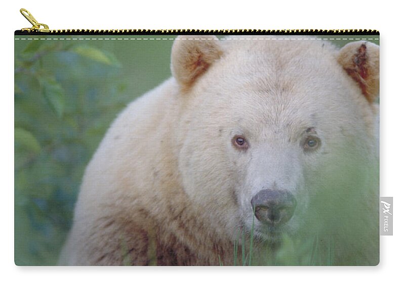 Vertical Zip Pouch featuring the photograph Kermode Bear, Northern British by Art Wolfe