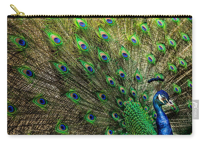 Peacocks Zip Pouch featuring the photograph KING of BIRDS by Karen Wiles