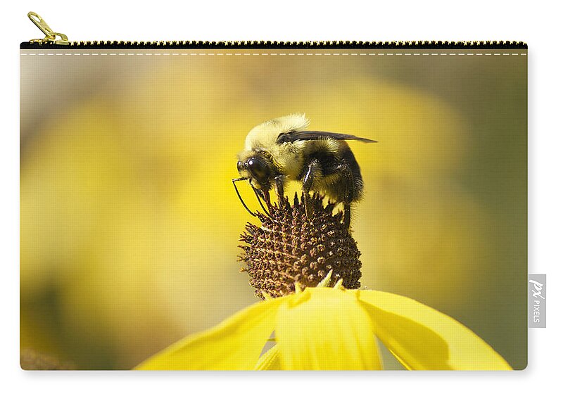 Bee Zip Pouch featuring the photograph King of the Coneflower by Penny Meyers