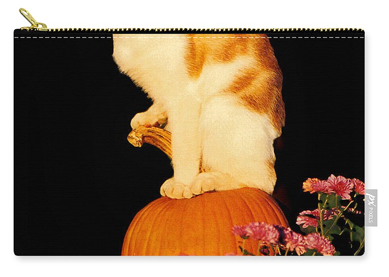 Pumpkin Zip Pouch featuring the photograph King of the Pumpkin by Peggy Urban