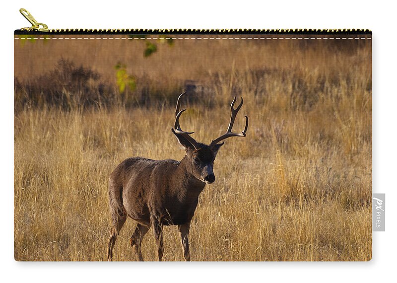 Mule Deer Zip Pouch featuring the photograph King of the Yard by Joshua House