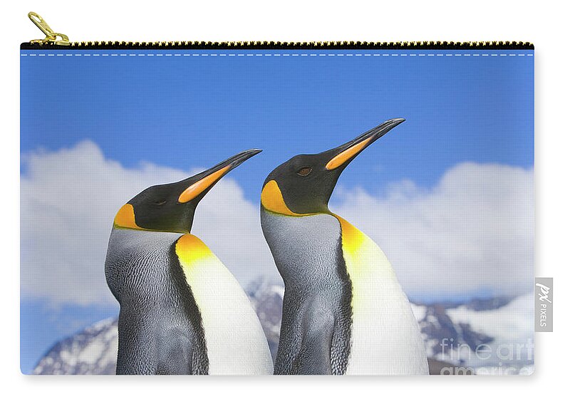 00345339 Zip Pouch featuring the photograph King Penguin Duo by Yva Momatiuk John Eastcott