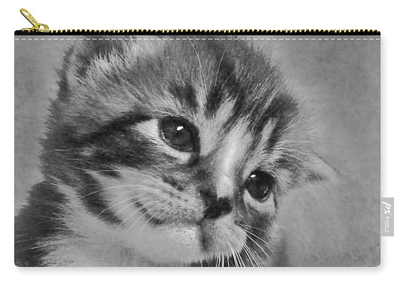 Kitten Zip Pouch featuring the photograph Kitten Just For You by Terri Waters