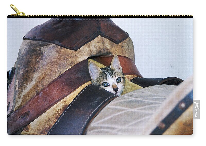 Cat Zip Pouch featuring the photograph Kitty in the Saddle by Kae Cheatham