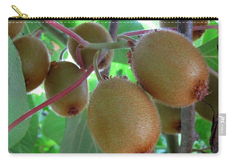 Alexandros Daskalakis Zip Pouch featuring the photograph Kiwi Branch by Alexandros Daskalakis