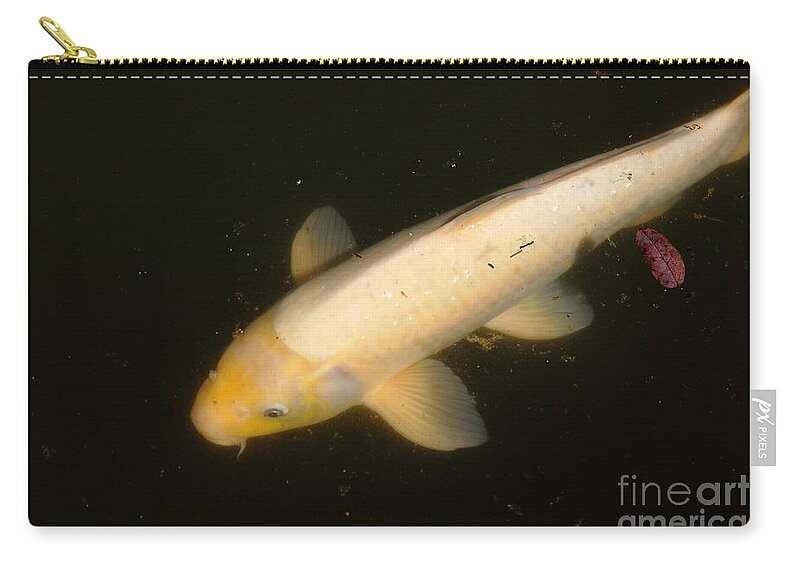 Animal Zip Pouch featuring the photograph Koi Fish 24550 by Wingsdomain Art and Photography