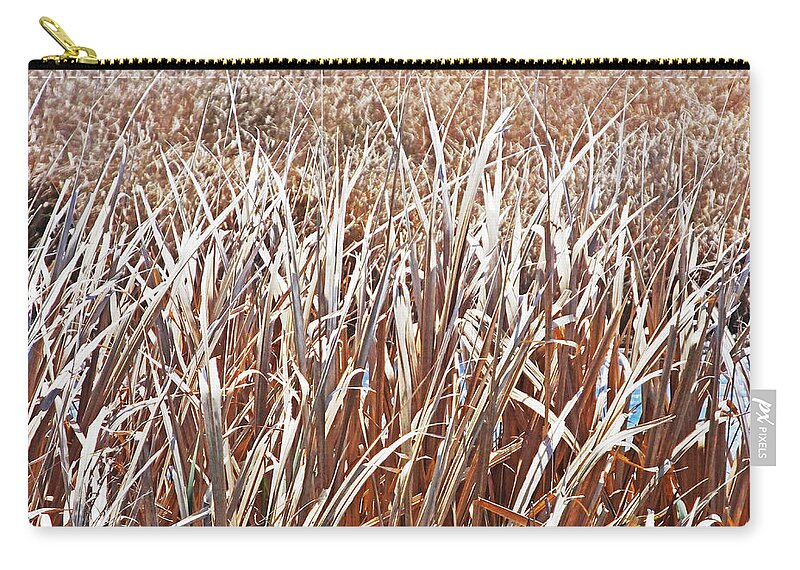 Winter Zip Pouch featuring the photograph Lacassine NWR Grasses by Lizi Beard-Ward