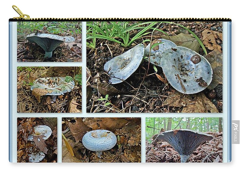Lactarius Zip Pouch featuring the photograph Lactarius Indigo Mushrooms by Carol Senske