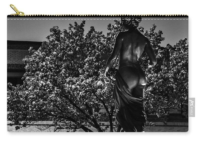 Slow Speed Zip Pouch featuring the photograph Lady of the night by Sennie Pierson