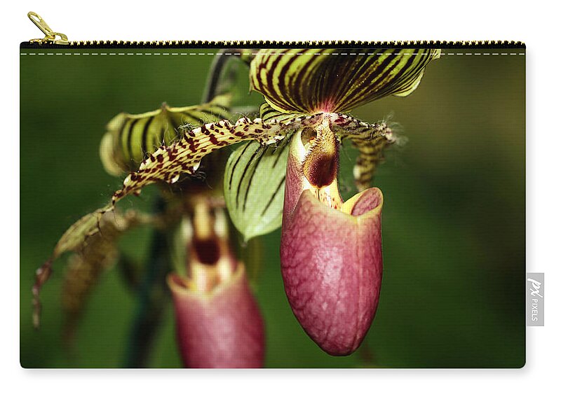 Macro Zip Pouch featuring the photograph Lady Slipper Orchid Twins by Sabrina L Ryan