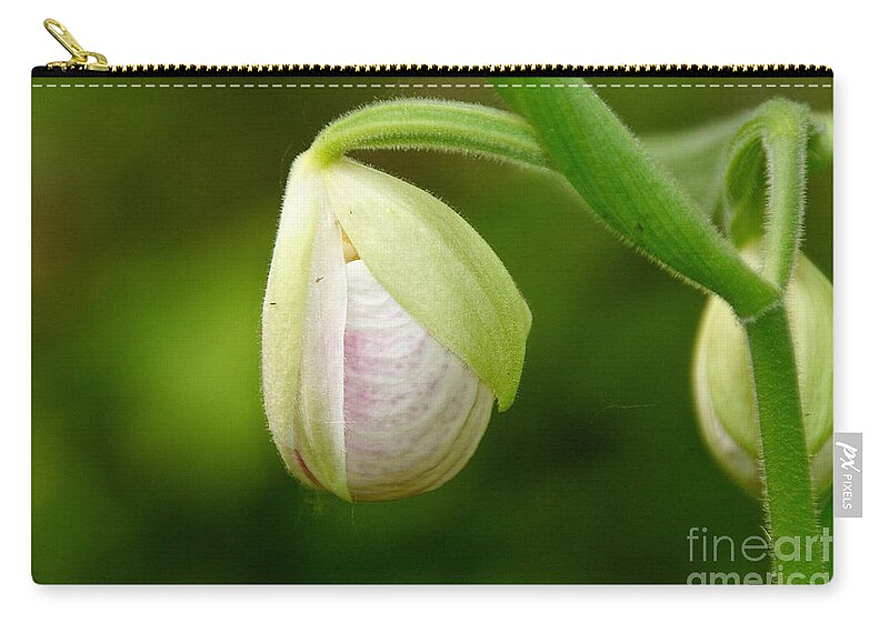 Flower Zip Pouch featuring the photograph Lady Slipper Pearl by Susan Herber