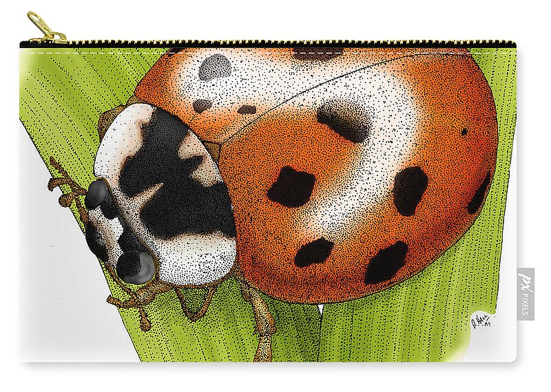 Animal Zip Pouch featuring the photograph Ladybug Beetle by Roger Hall