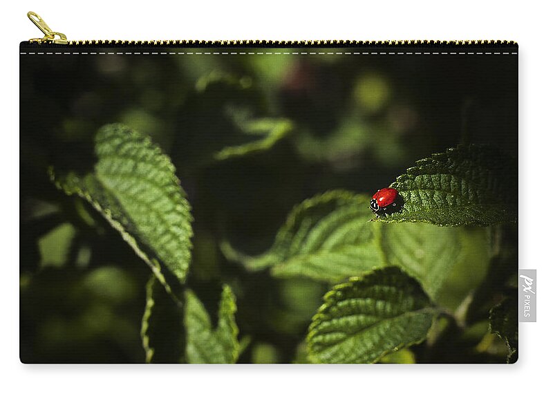 Florida Zip Pouch featuring the photograph Ladybug by Bradley R Youngberg