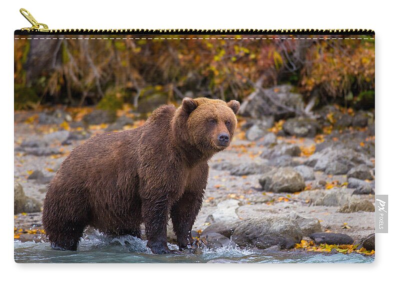 Bear Zip Pouch featuring the photograph Lake Scan by Kevin Dietrich