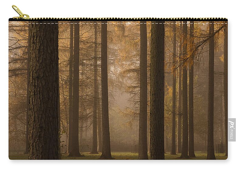 Arboreta Zip Pouch featuring the photograph Larch Grove by Anne Gilbert