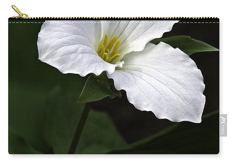 Large Flowered Trillium Zip Pouch featuring the photograph Large Flowered Trillium by Dale Kincaid