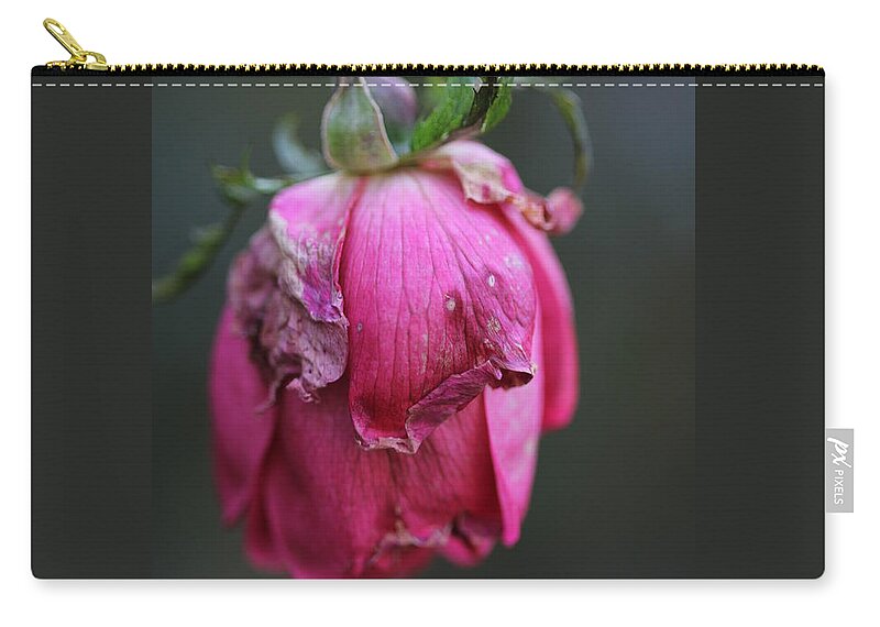 Rose Zip Pouch featuring the photograph Last Rose of Summer by Valerie Collins