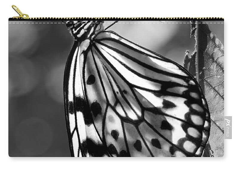 Butterfly Zip Pouch featuring the photograph Lavalier by Nikolyn McDonald