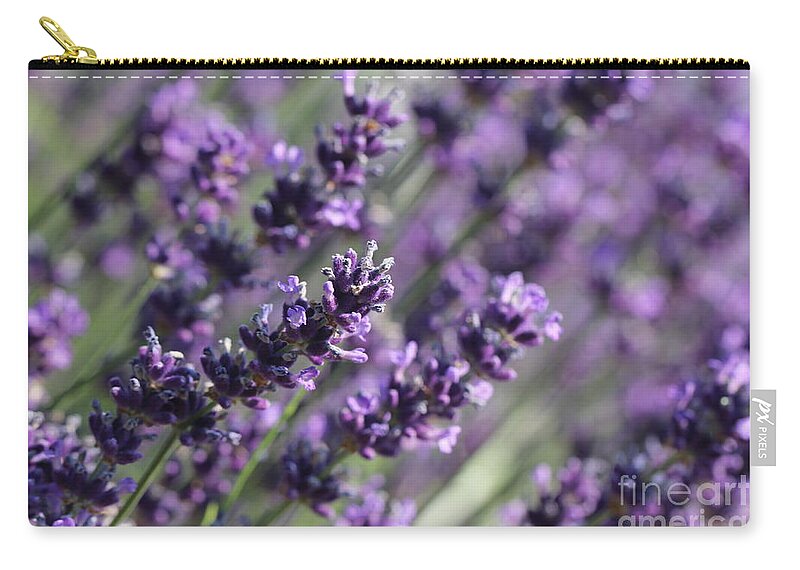 Closeup Carry-all Pouch featuring the photograph Lavender by Amanda Mohler