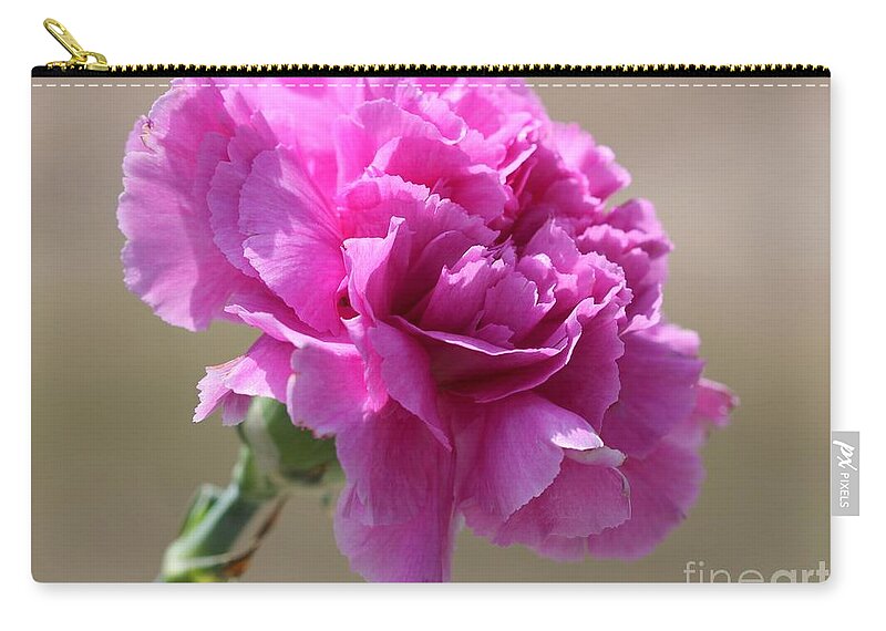 Mccombie Zip Pouch featuring the photograph Lavender Carnation by J McCombie