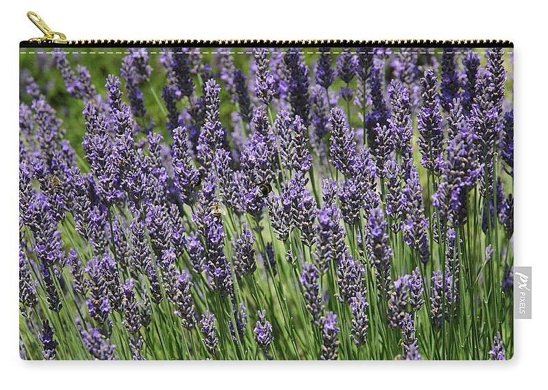Lavender Zip Pouch featuring the photograph Lavender by Chevy Fleet