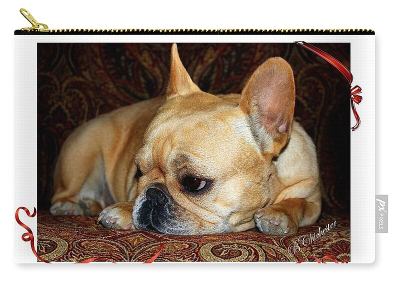 French Bulldog Zip Pouch featuring the photograph Lazy Paisley Afternoon by Barbara Chichester