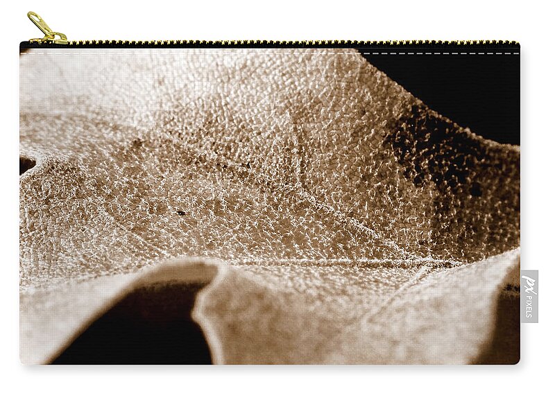 Lauren Radke Zip Pouch featuring the photograph Leaf Collage 1 by Lauren Radke