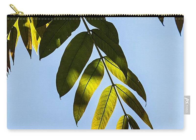 Botanical Garden Zip Pouch featuring the photograph Leaf Light by Kate Brown