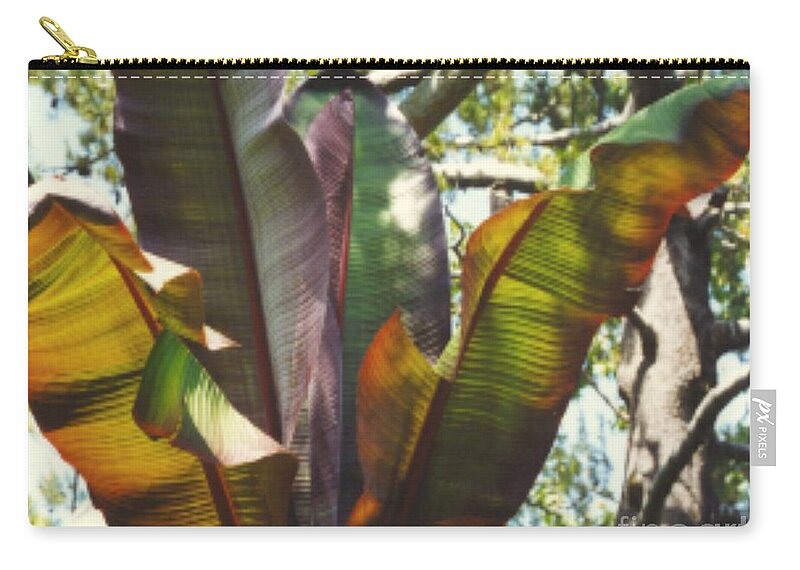 Leaf Zip Pouch featuring the photograph Leaf Reflection by Mars Besso
