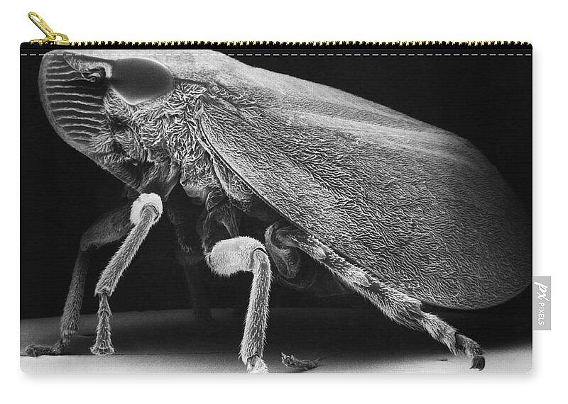 Green And Yellow Sharp-headed Leafhopper Zip Pouch featuring the photograph Leafhopper by David M. Phillips