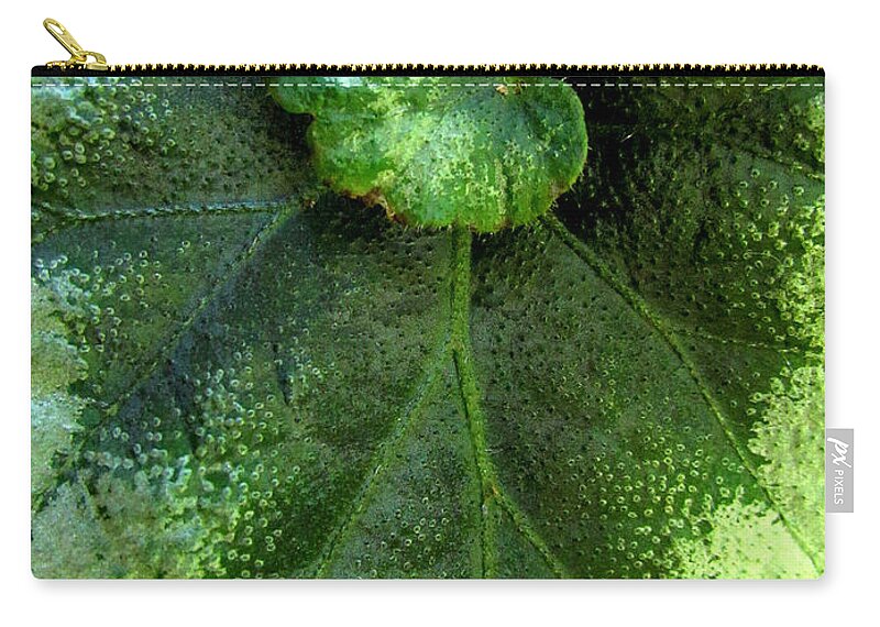 Leaf Zip Pouch featuring the photograph Leafy Greens by Lori Lafargue