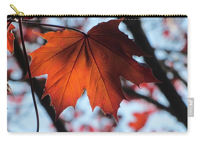 Leaf Zip Pouch featuring the photograph Leaves Backlit 2 by Anita Burgermeister
