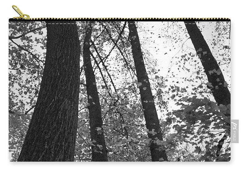 Fall Trees Zip Pouch featuring the photograph Leaves Lost BW by Photographic Arts And Design Studio