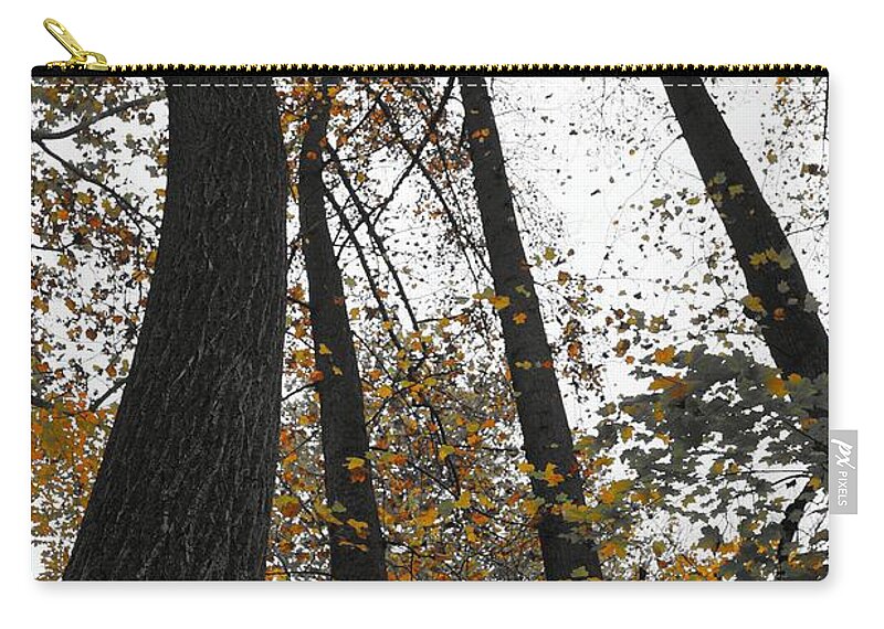 Fall Trees Zip Pouch featuring the photograph Leaves lost by Photographic Arts And Design Studio