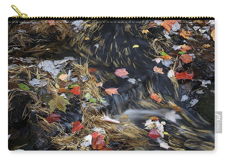533818 Zip Pouch featuring the photograph Leaves On Duck Brook Acadia Np Maine by Tim Fitzharris