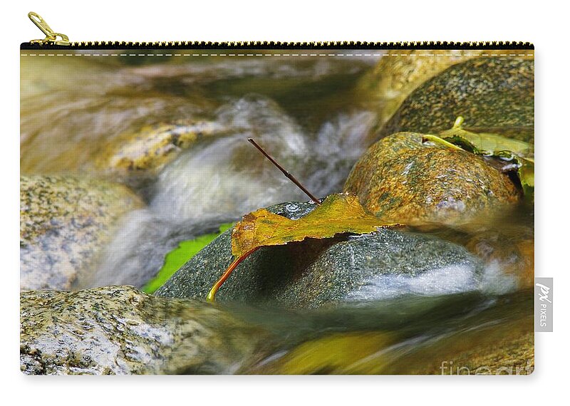 Leaves Zip Pouch featuring the photograph Leaves on the Rocks by Sharon Talson