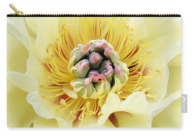 Yellow Zip Pouch featuring the photograph Lemonade by Lilliana Mendez