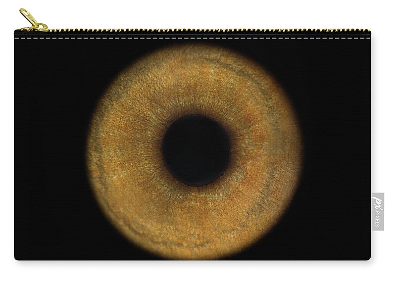 Eyesight Zip Pouch featuring the photograph Lemurs Eye, Close-up by Jonathan Knowles