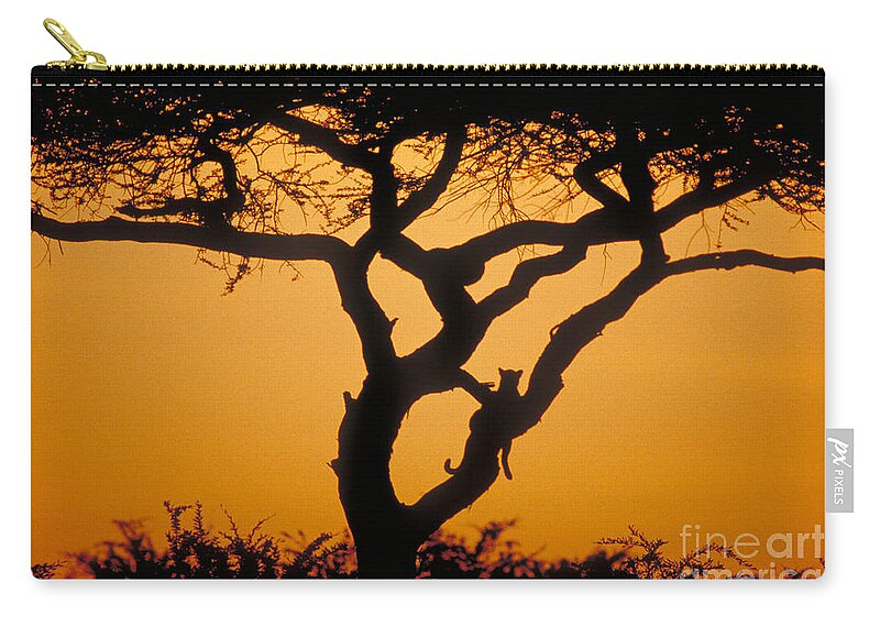 Mammal Zip Pouch featuring the photograph Leopard At Dawn by Gregory G. Dimijian