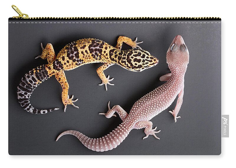 Common Leopard Gecko Zip Pouch featuring the photograph Leopard Gecko E. Macularius Collection by David Kenny