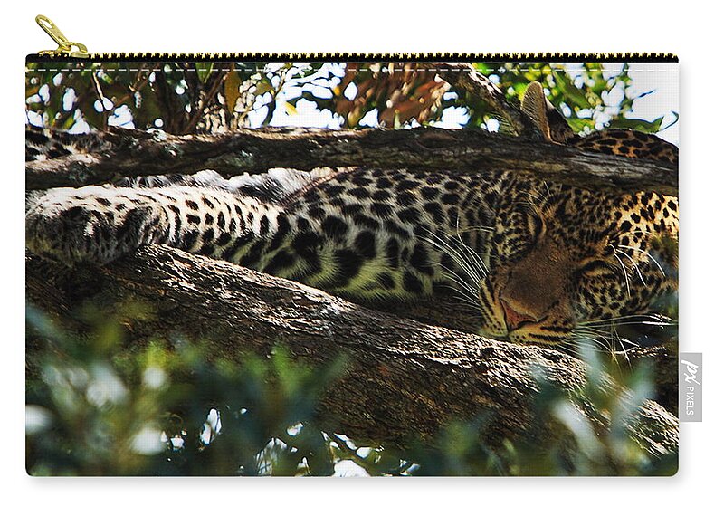 Leopard Zip Pouch featuring the photograph Leopard In A Tree by Aidan Moran