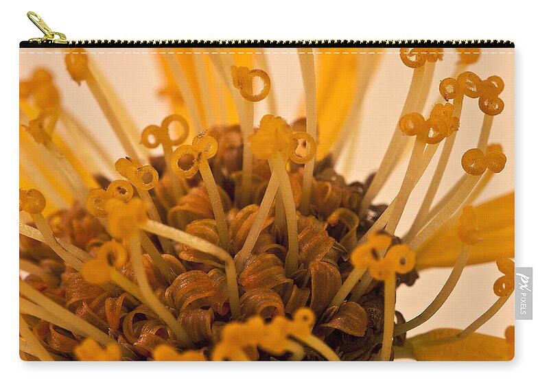 Orange Stamens Macro Zip Pouch featuring the photograph Leopards Bane Flower Macro by Sandra Foster