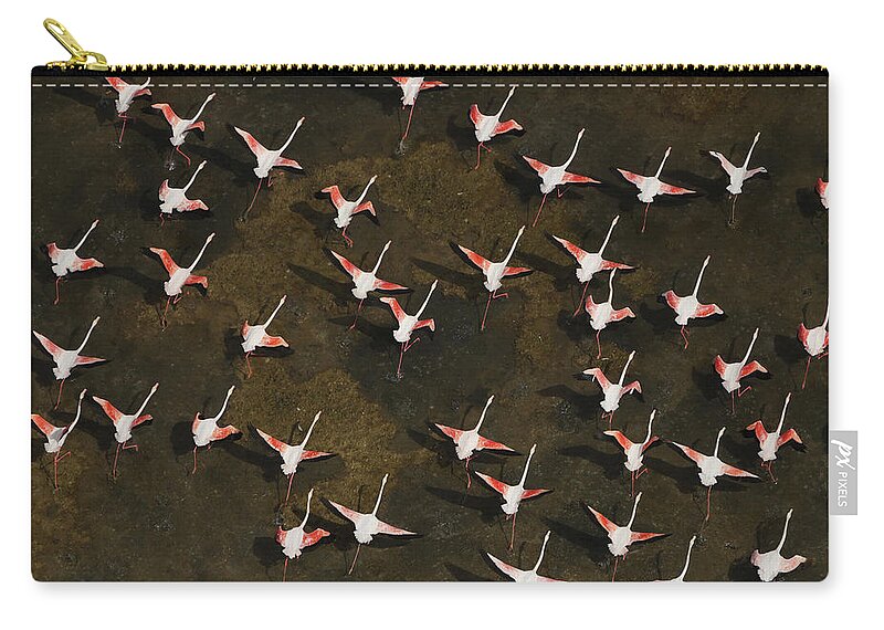 531224 Zip Pouch featuring the photograph Lesser Flamingo Flock Flying South by Hiroya Minakuchi
