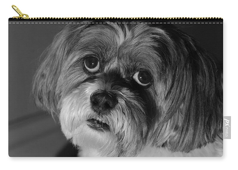 Front View Zip Pouch featuring the photograph Lhasa Puppy Cut by Arthur Fix