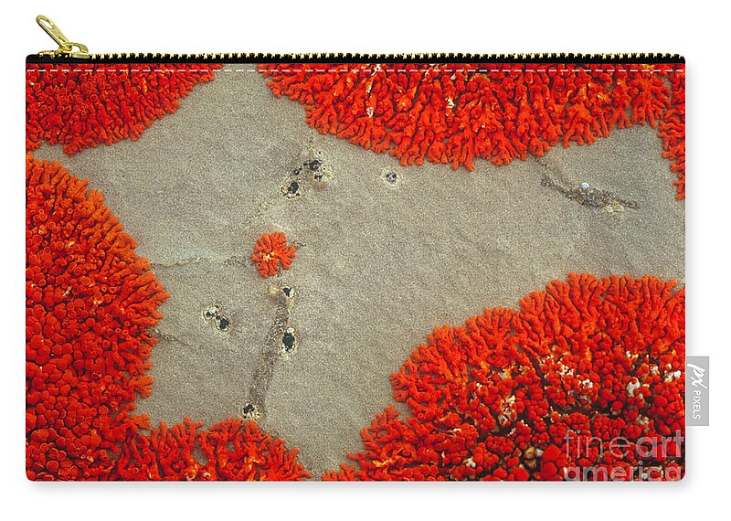 Lichen Zip Pouch featuring the photograph Lichen Patterns On Rock by Art Wolfe